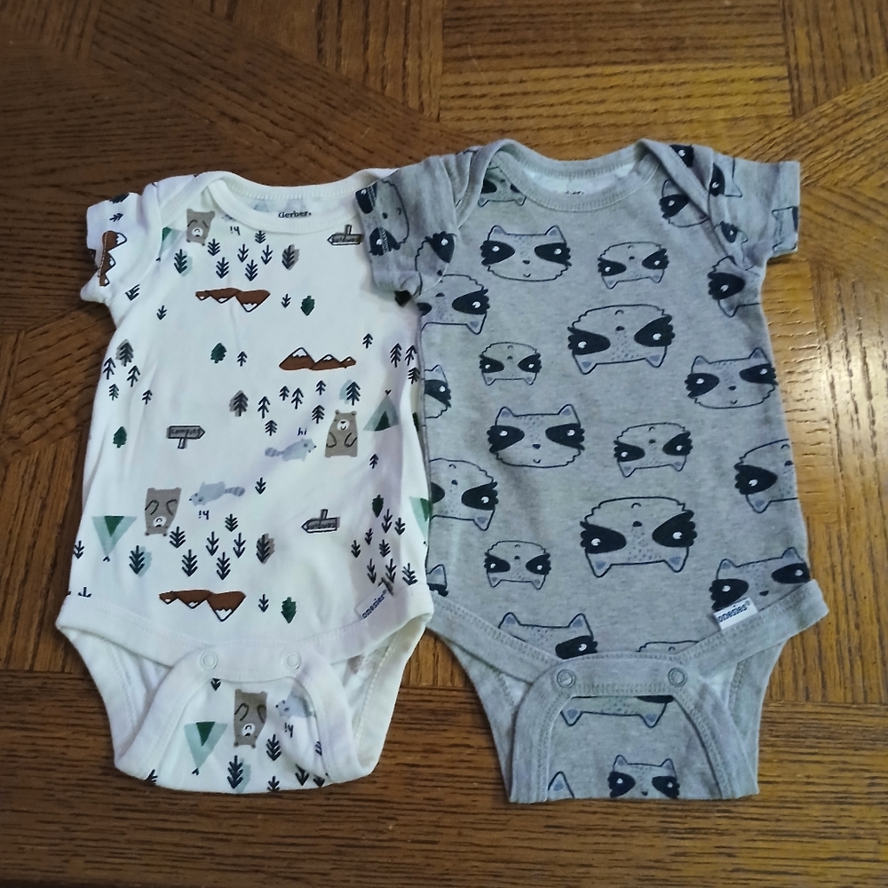 Carter's And Gerber Baby Bodysuit Set - White and Gray